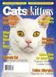 Cats & Kittens